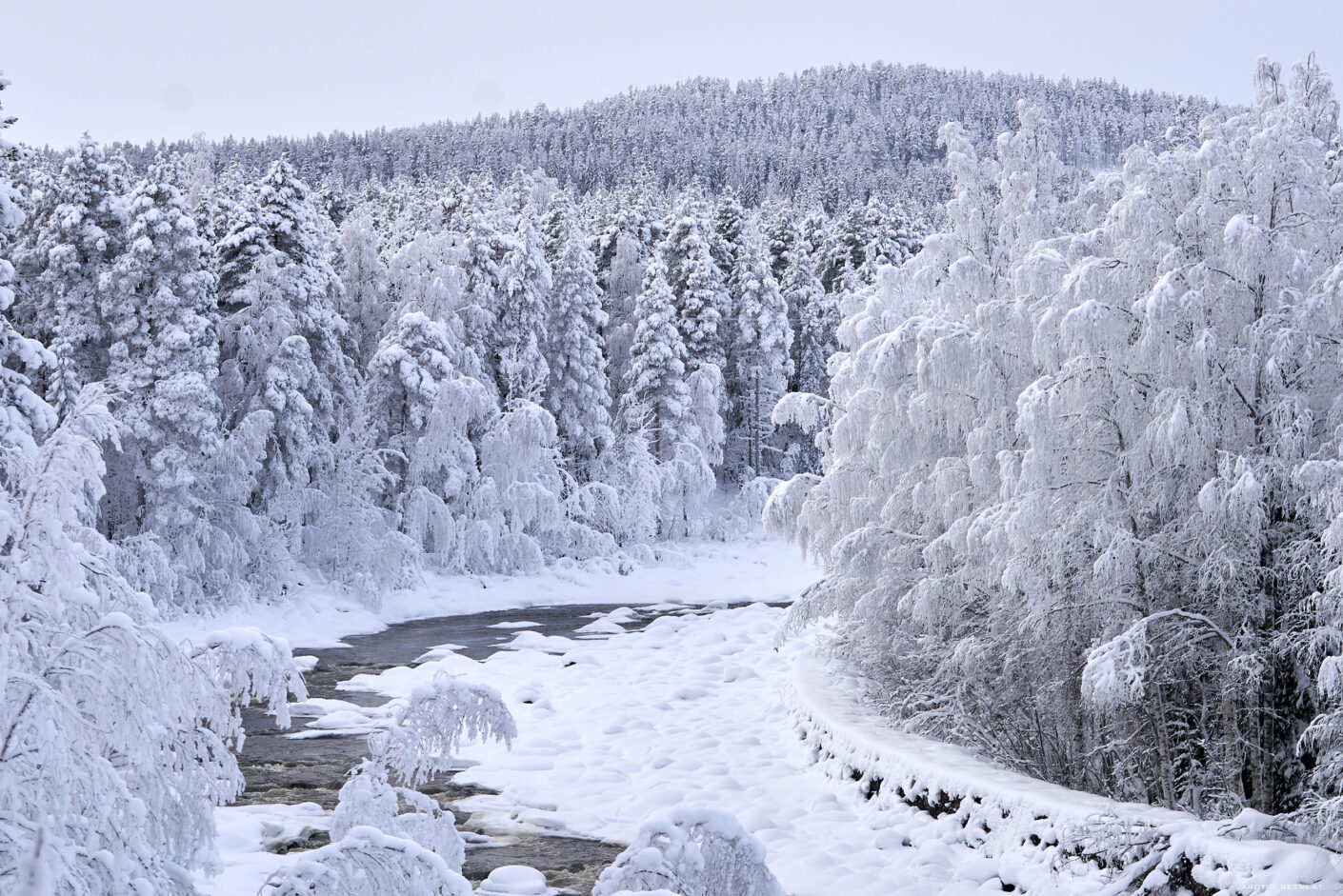 ArcticHeaven-day2-wilderness