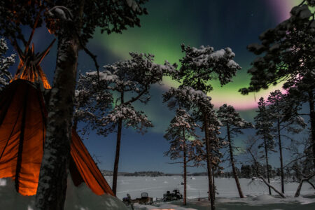 BestofBoth-header