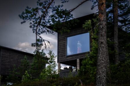 Arctic Giant Birdhouse
