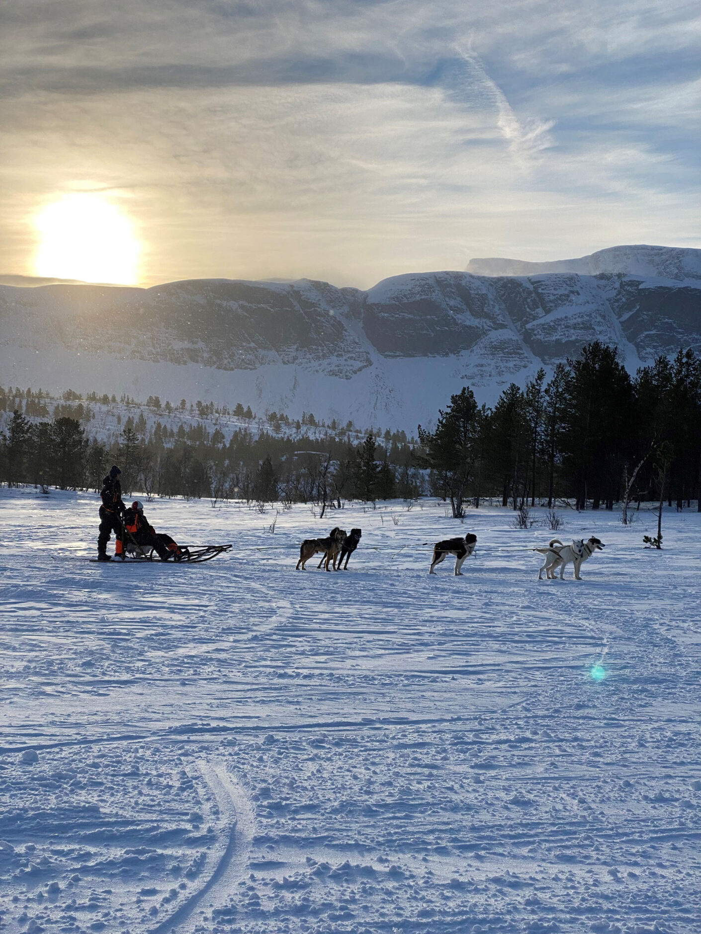Day Five Husky Sledding