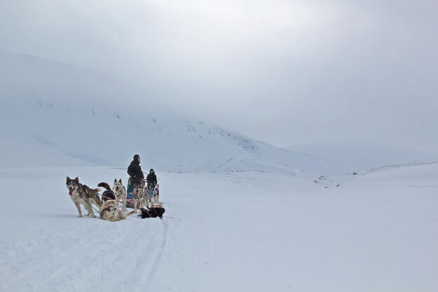 The Aurora Nights Tromso & Svalbard Experience | Northern Lights Holiday Experts | Aurora Nights - Combine two locations pefect for Northern Lights hunting activies.