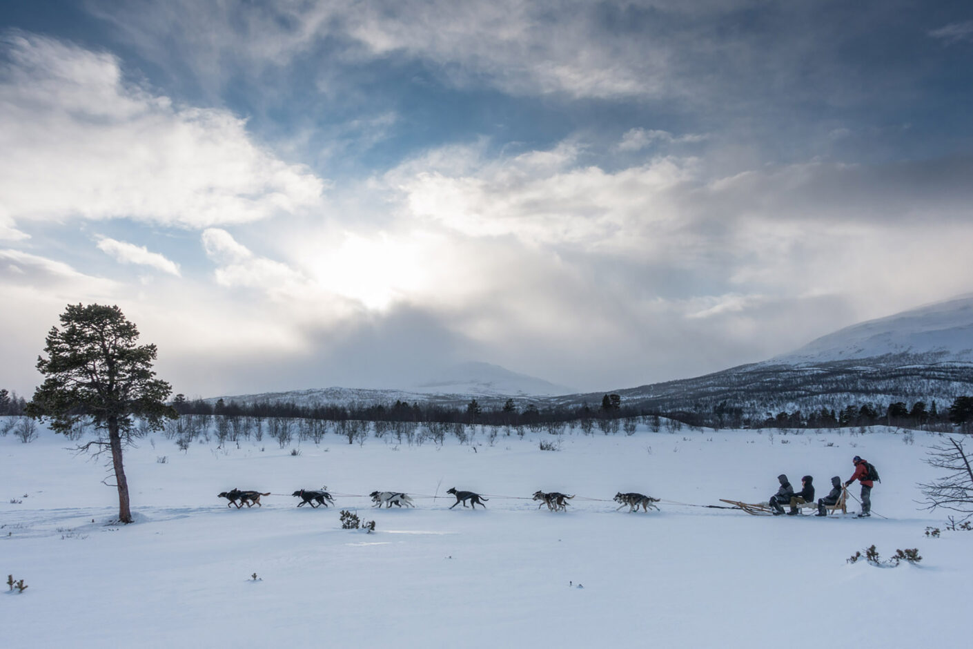 The Complete Abisko Experience | Northern Lights Holiday Experts | Snowshoeing Northern Lights Hunt, Snowmobile Adventures, Guided Walks | Aurora Nights