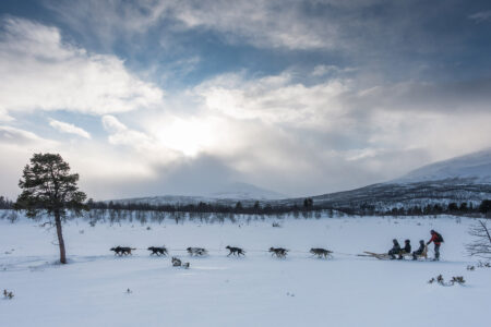 The Complete Abisko Experience | Northern Lights Holiday Experts | Snowshoeing Northern Lights Hunt, Snowmobile Adventures, Guided Walks | Aurora Nights