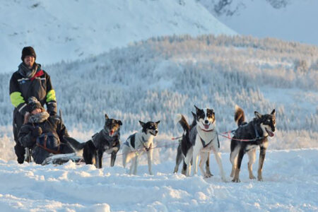 Visit Tromso, Snowmobiles and Dog Sledding Advetures and Northern Lights in Norway | Aurora Nights