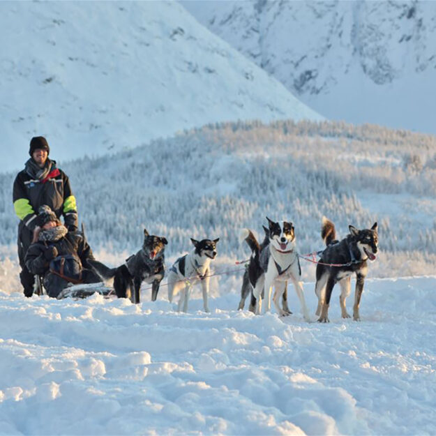Visit Tromso, Snowmobiles and Dog Sledding Advetures and Northern Lights in Norway | Aurora Nights
