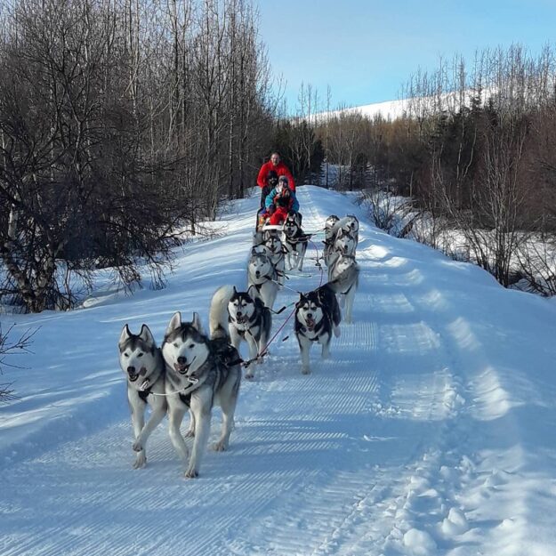 The Northern Iceland Weekend Aurora Escape | Northern Lights Holiday Experts in Iceland | Aurora Nights | Snowmobiling and Dog Sledding Adventures in Iceland