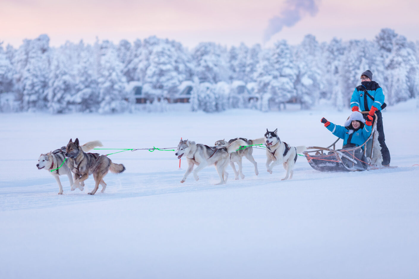 IcehotelTreeHotel-day4-huskymushing