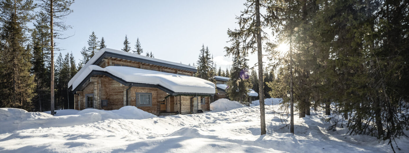 Northern Lights Magical Hideaway: Logwood Apartment Aurora Experience | Aurora Nights | Luxury Northern Lights Holiday in Finland