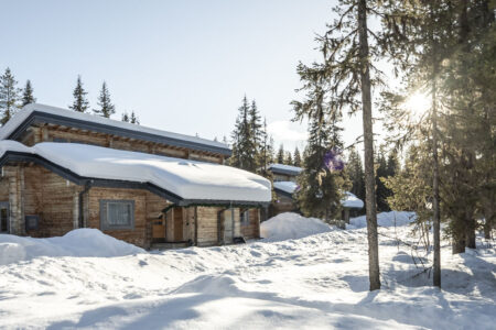 Northern Lights Magical Hideaway: Logwood Apartment Aurora Experience | Aurora Nights | Luxury Northern Lights Holiday in Finland