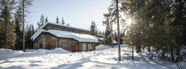 Northern Lights Magical Hideaway: Logwood Apartment Aurora Experience | Aurora Nights | Luxury Northern Lights Holiday in Finland