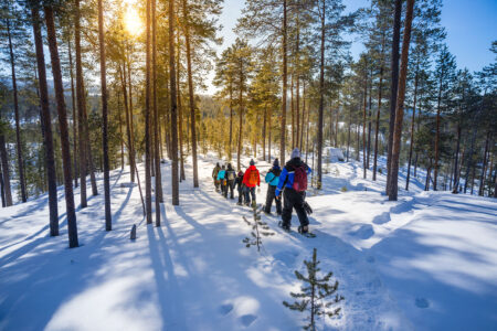 Northern Lights Nellim Adventure | Northern Lights Holiday Experts | Aurora Nights | 3-Nights in Nellim in Finnish Lapland with Northern Lights Hunting activities in the evenings.