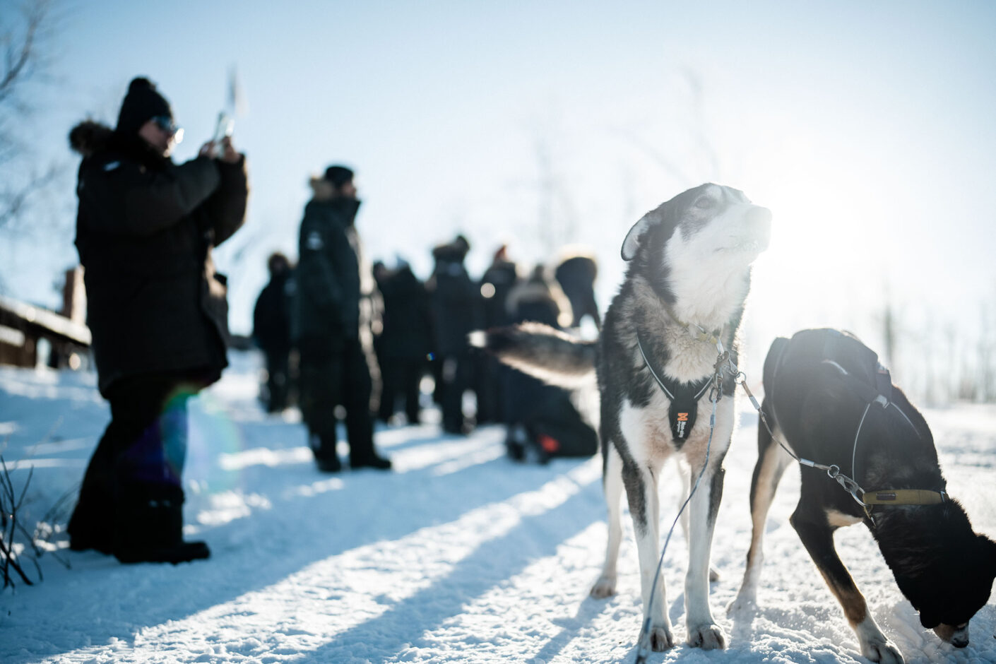 Traditional Lapland New Year & Magical Aurora Chase | Northern Lights Holiday Experts | Aurora Nights