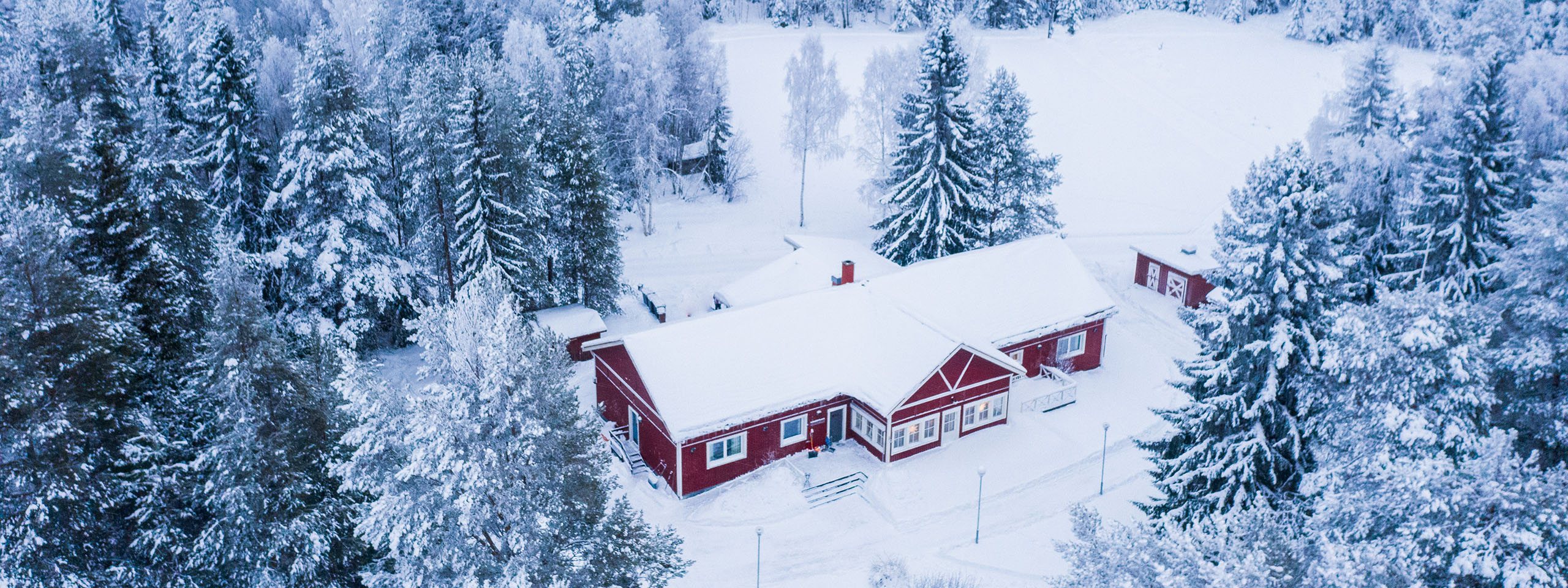 Pine Bay Aurora Escape | 3-Night Winter Holiday Adventure in Sweden Snowmobiling and Dog Sledding | Northern Lights Holiday Experts | Aurora Nights