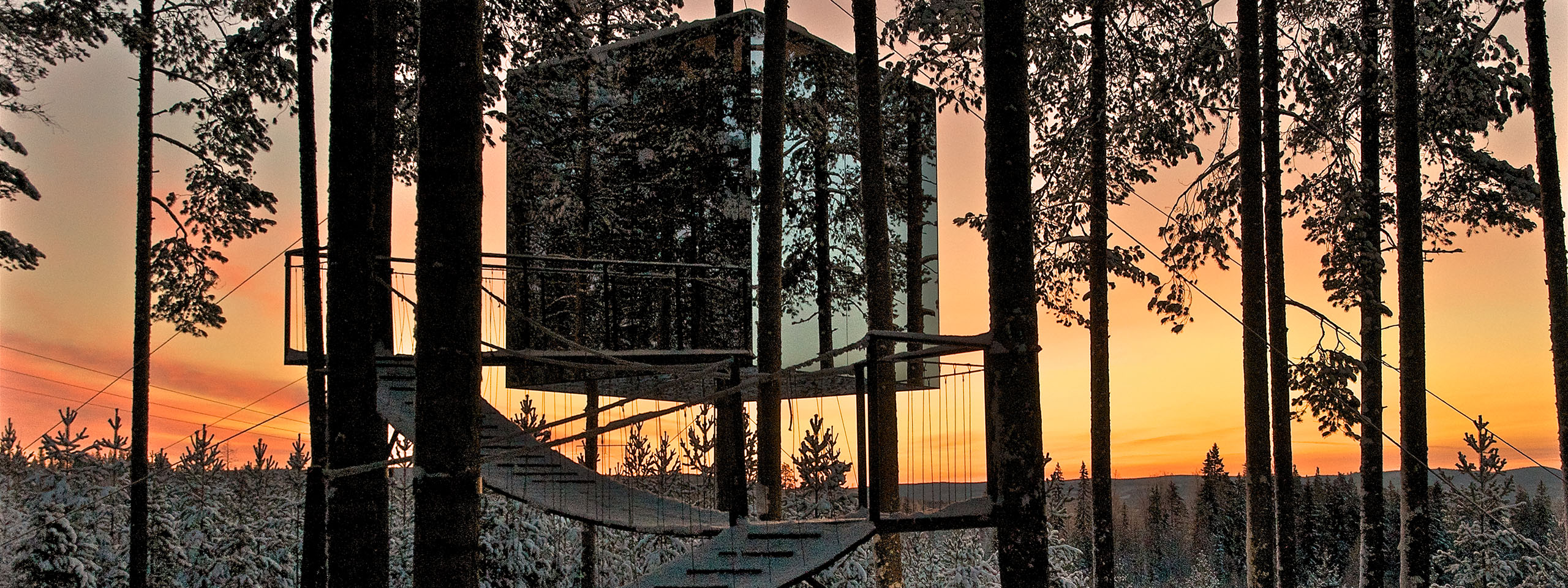 TreehotelQuest-header