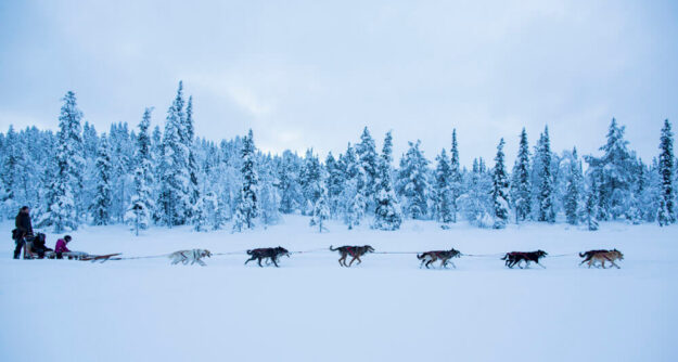 Exclusive Use Arctic Lodge Getaway | Northern Lights Holiday Experts | Travel with Aurora Nights