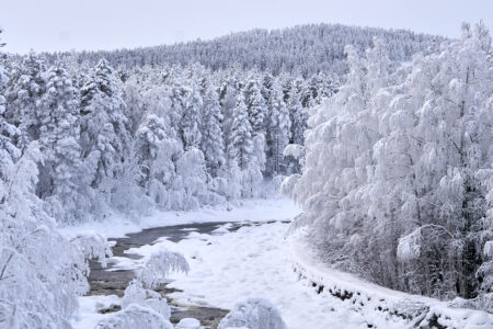 Arctic Retreat
