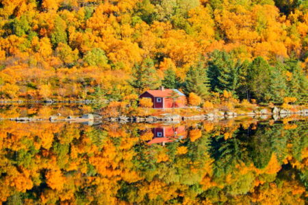 Autumn in Sweden | Aurora Nights