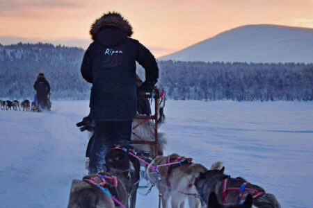 Camp Ripan's Aurora Break | Northern Lights Holiday Experts | Aurora Nights | Winter Holidays in Sweden | Spa Breaks in Sweden