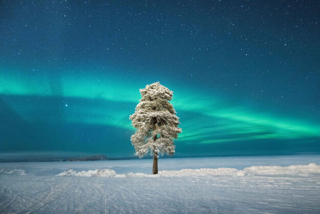 Finnish Arctic Highlights at Inari | Northern Lights Holiday Experts | Aurora Nights | Stay in an Aurora Glass Roofed Cabin See the Northern Lights in Inari, Finnish Lapland