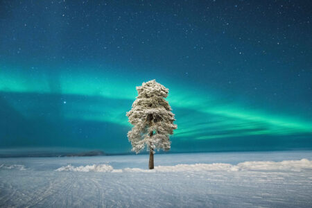 Finland's Arctic Experience at Juutua - Spend four nights at new resort Wilderness Hotel Juutua in beautiful Finnish Lapland, an ideal place to stay for nature lovers and Northern Lights hunters!