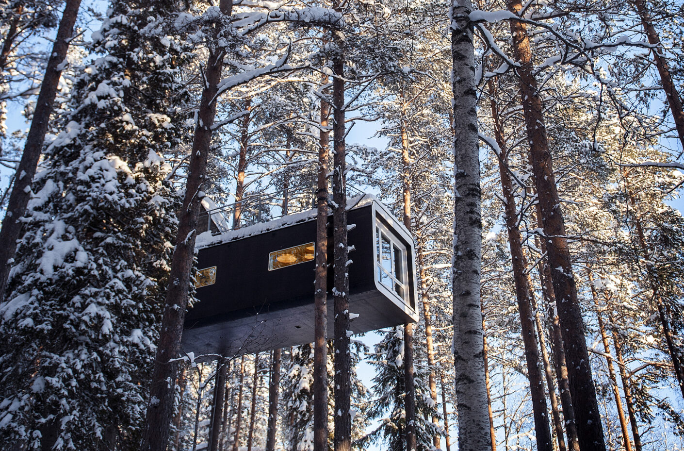 treehotel-1