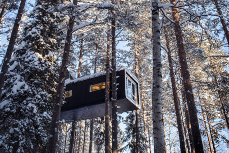 treehotel-1