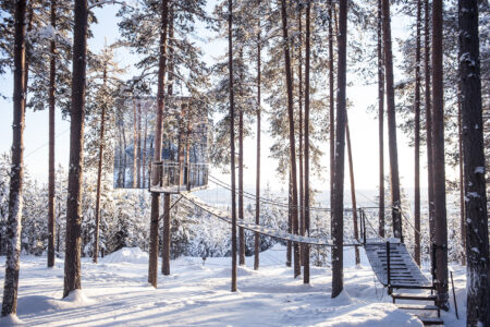treehotel-2
