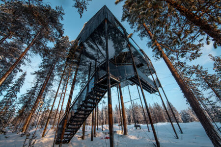 treehotel-3