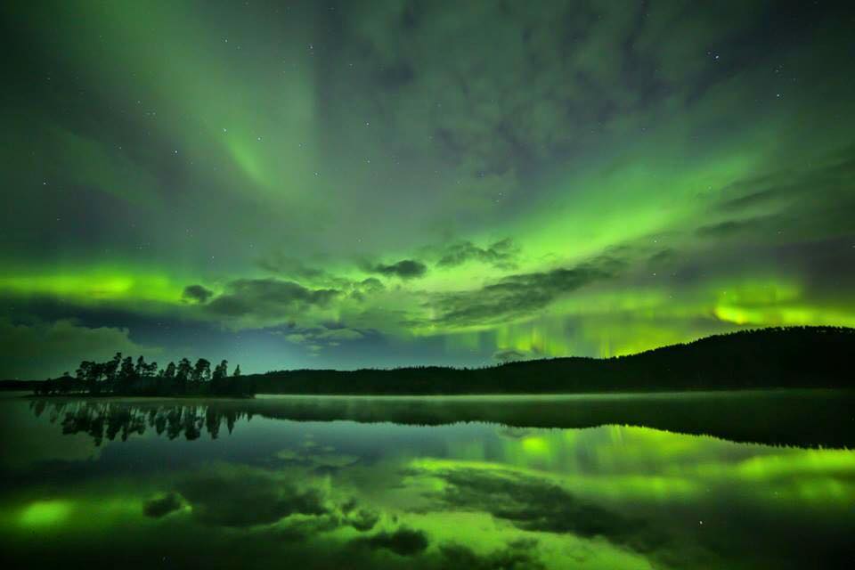 Autumn Auroras