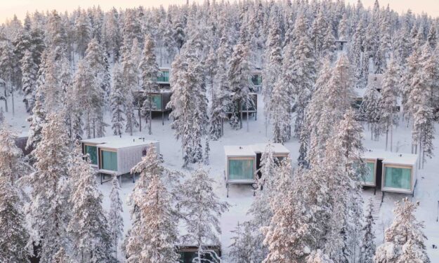 Arctic Treehouse