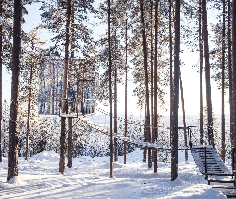 treehotel-2