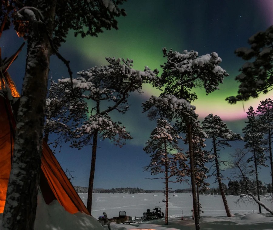 BestofBoth-header