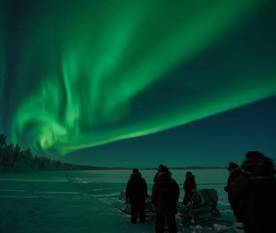 Ultimate Arctic Tour | Norway, Sweden and Finland | Snowmobiles Dog Sledding and The Ice Hotel