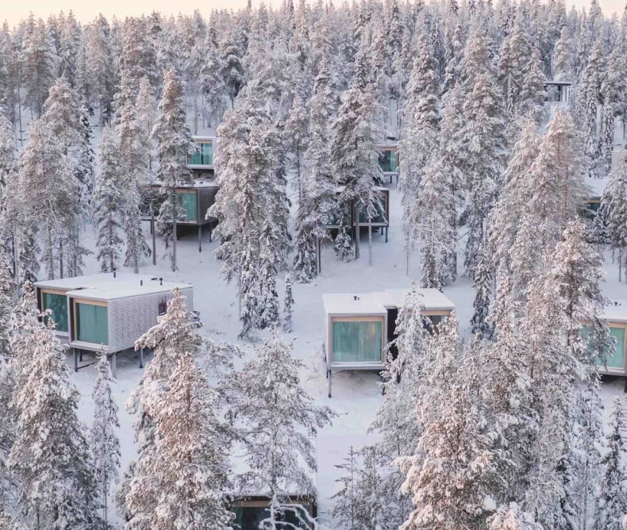 Arctic Treehouse