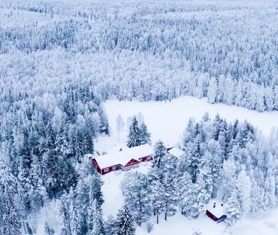 Pine Bay Aurora Escape | 3-Night Winter Holiday Adventure in Sweden Snowmobiling and Dog Sledding | Northern Lights Holiday Experts | Aurora Nights